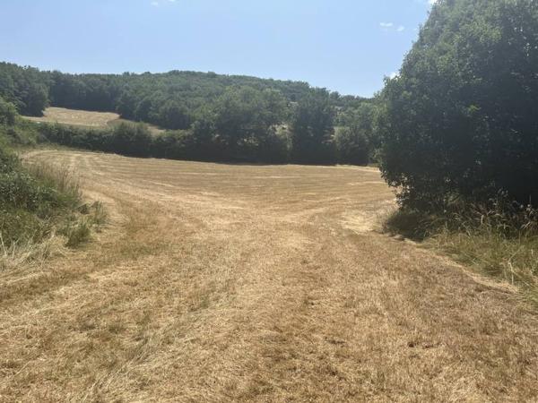 Terrain à vendre |  Baladou |  28965 m²