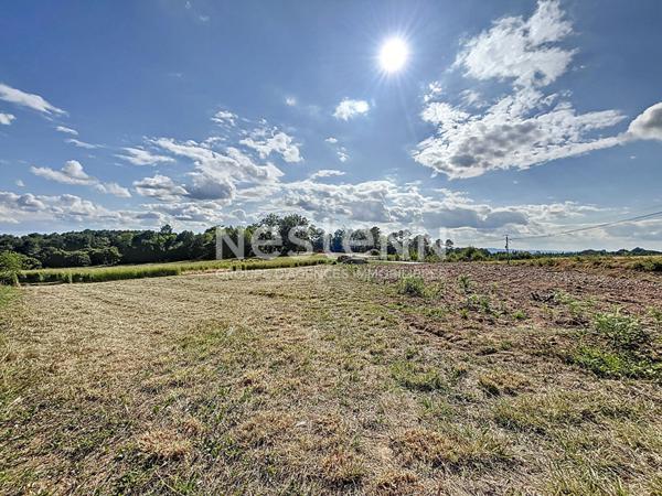 Terrain constructible Ste-Féréole - 1666 m2