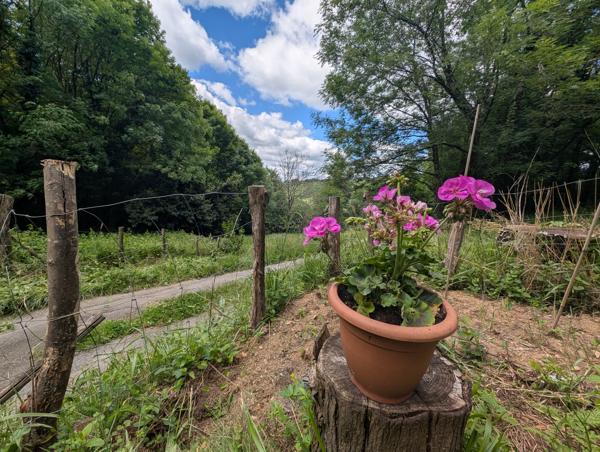 Maison à vendre à Labastide-Rouairoux (81270) - Tarn