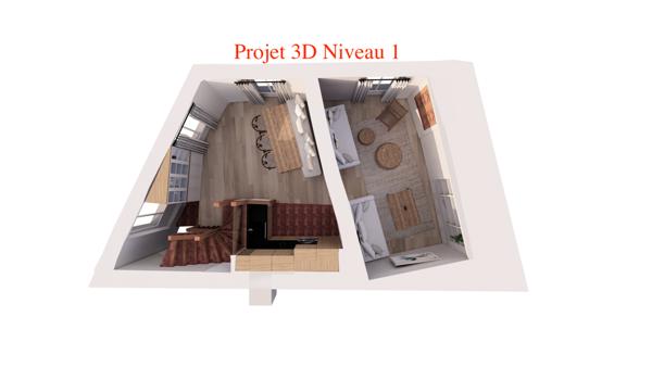 Saint-Germain-en-Laye (78100) Triplex 6P usage mixte 114m2 hyper centre