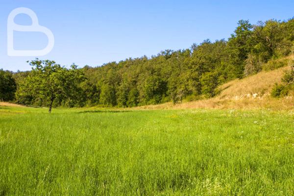 Gourdon (46300) Belle maison en pierre sur 6ha