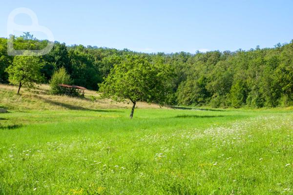 Gourdon (46300) Belle maison en pierre sur 6ha
