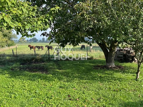 Appartement Bistroff 4 pièce(s) 84 m2