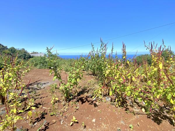 Vente Terrain75 m² - LE PITON ST LEU (97424)