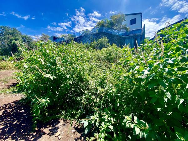 Vente Terrain75 m² - LE PITON ST LEU (97424)