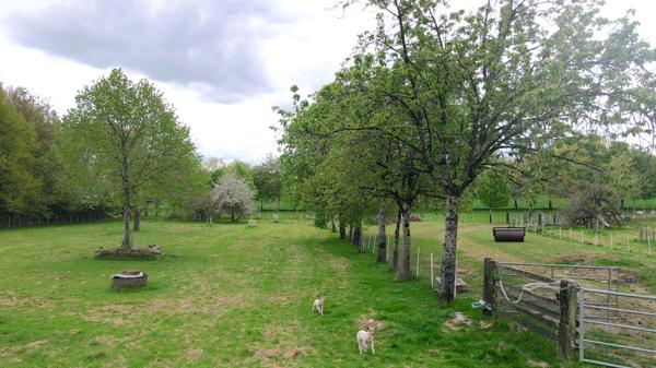 Maison 8 pièces - 165 m² Bien prestige