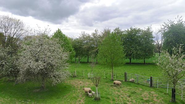 Maison 8 pièces - 165 m² Bien prestige