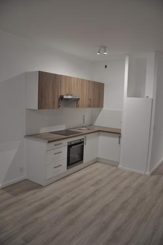 Hyper-Centre de Bayonne : Grand Studio de 54 m² – L'espace et le cachet au cœur de la ville !