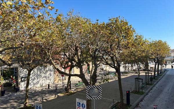 Appartement à vendre    13 pièces •  La Flotte