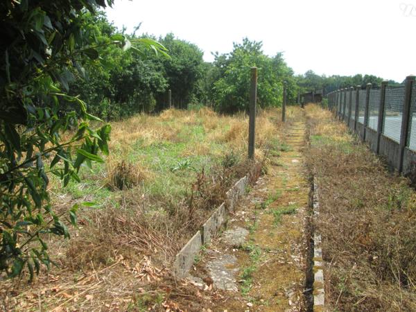 Une maison 3 chambres sur 950 m² de terrain