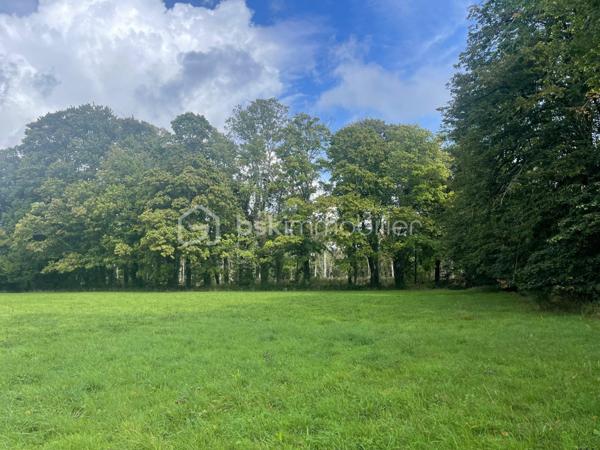 Immeuble de 2 595 m²