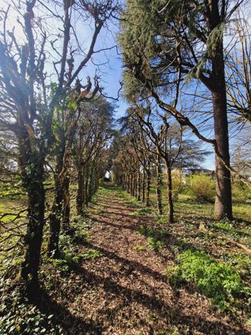 Maison 12 pièce(s) 7 chambre(s) 262.19 m²