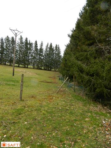 Tènement Immobilier maisons et gite sur 7280M² de terrain env.