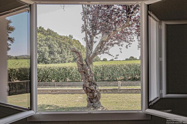 Une parenthèse enchantée en pleine nature béarnaise 4 pièces 110 m2