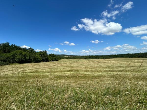 Propriété 13,5 hectares avec deux maisons !!!