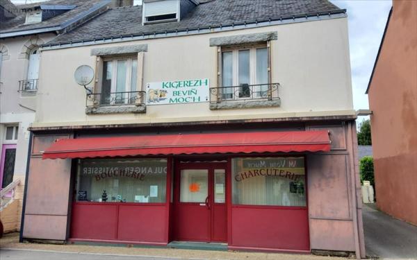 Maison individuelle à vendre à Spézet dans le Finistère (29540), ref : 29066-1018237