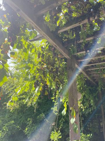 Maison contemporaine à MIRAUMONT (80300)