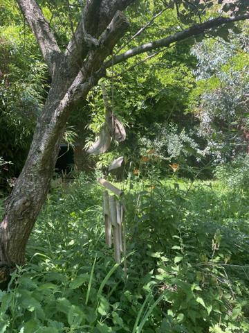 Maison contemporaine à MIRAUMONT (80300)