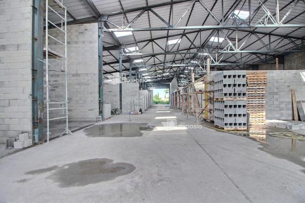 ORANGE - MURS ATELIER BOXE DE STOCKAGE 63 m²