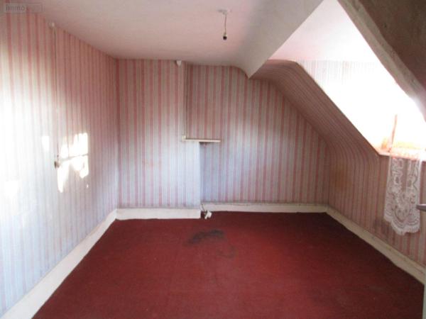 Local mixte (Pro/Hab) à vendre à Marcey-les-Grèves dans la Manche (50300), ref : 037