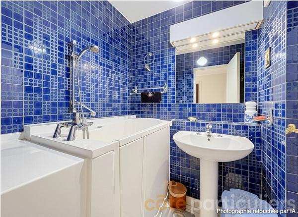 Vente
                Appartement110,55 m² - 5 Pièces -
                    SAINT MAUR DES FOSSES (94100)