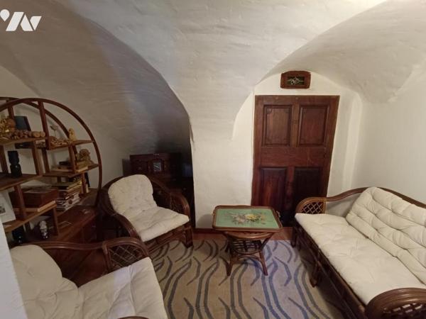 Vente Immeuble avec grand jardin+ maison attenante, composés de 7 logements