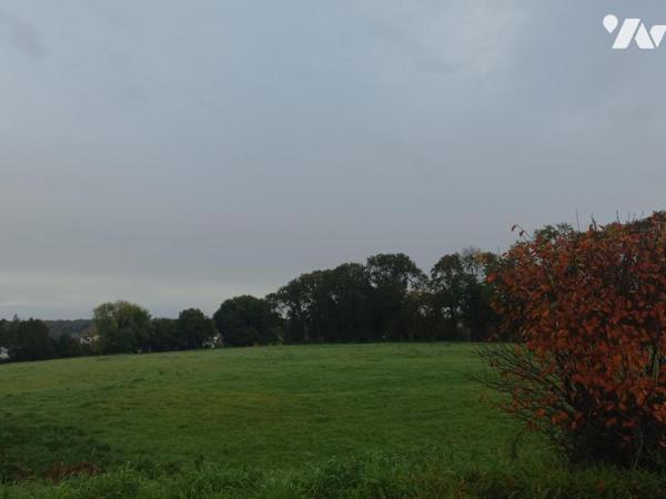 Terrain constructible