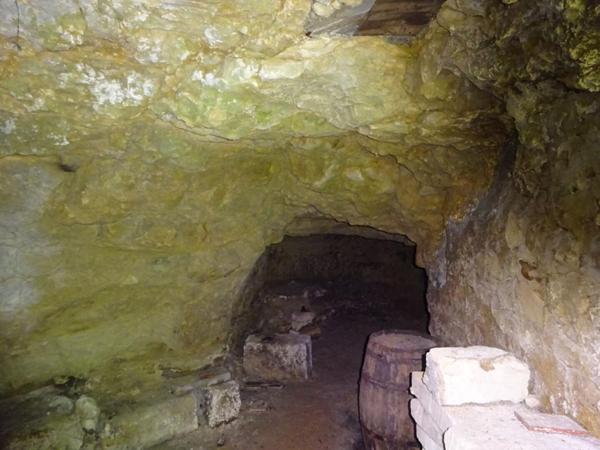 Maison Le Petit Pressigny 7 pièce(s) 0118 m2