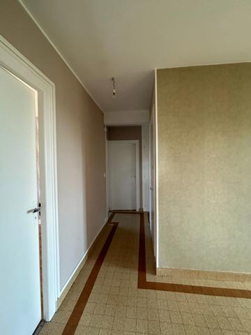 Maison sur sous sol complet de 126m2 habitable très lumineuse avec grand jardin et dépendance