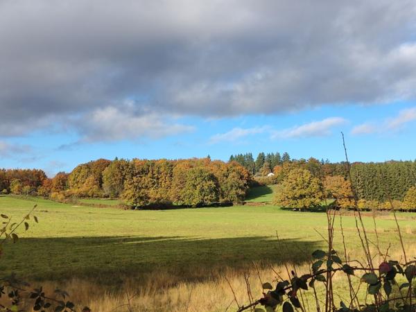 Maison éco-rénovée avec gîte et dépendances sur 11798m²