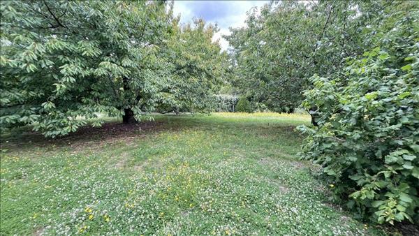 Terrain à vendre |  Saint-Aignan |  2163 m²