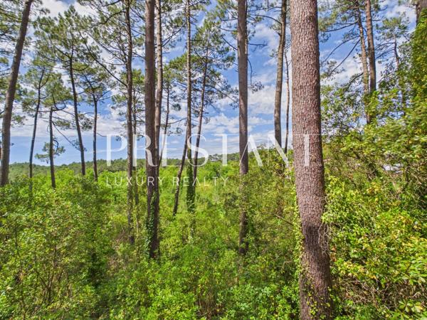 Propriété confidentielle – 1 ha de pinède, calme et nature à Seignosse, SEIGNOSSE