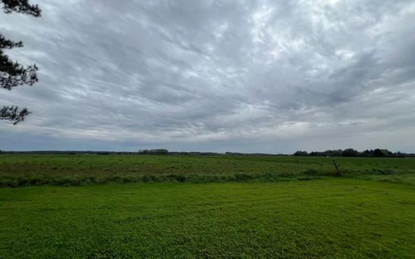 Maison à vendre    7 pièces •  Parpeçay