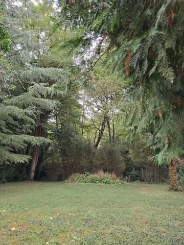 Terrain de loisirs avec mobile home