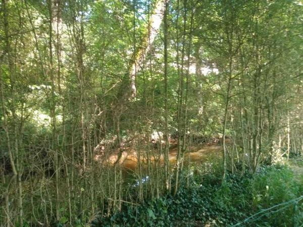 Terrain de loisirs avec mobile home