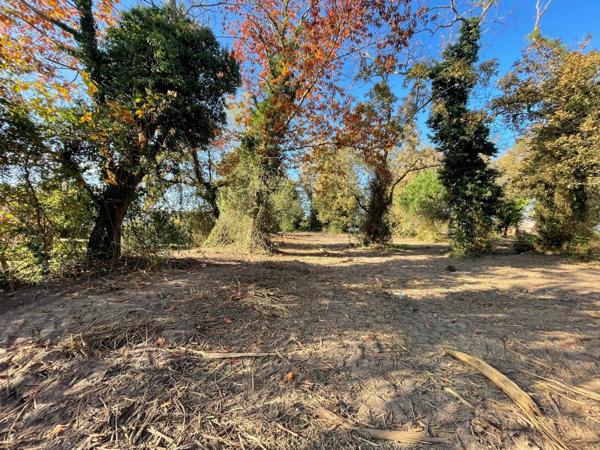 terrain constructible de 1200 m² viabilisé