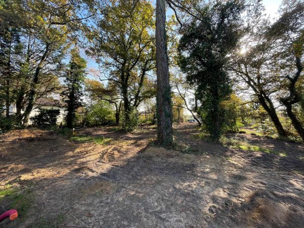 terrain constructible de 1200 m² viabilisé