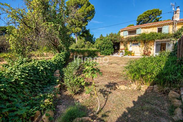Maison de charme avec vue sur les vignes - St Cyr sur mer