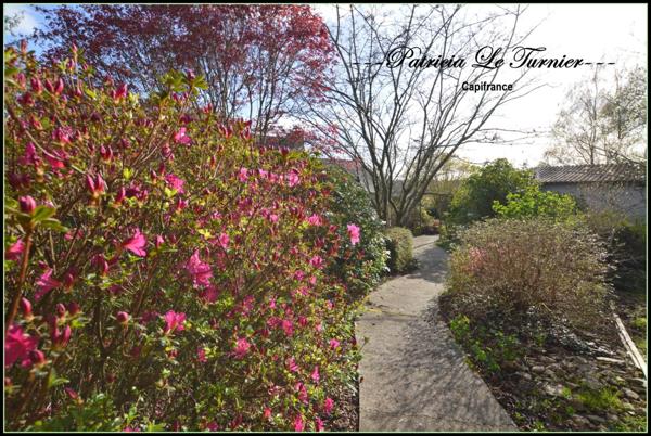 Maison en pierre à vendre 6 pièces 194 m² LANDEVANT (56) Morbihan Sud en BRETAGNE