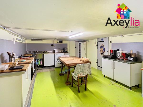 Saint-Alban-les-Eaux (42370) A VENDRE- CÔTE ROANNAISE- MAISON AVEC VUE DÉGAGÉE ET DÉPENDANCES.