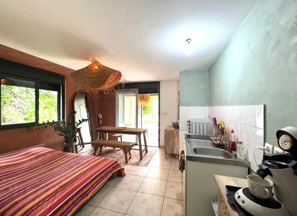 Grand studio avec Jardin - Le tampon