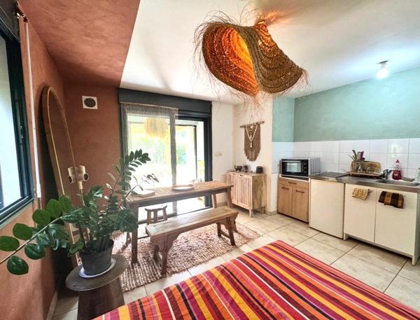 Grand studio avec Jardin - Le tampon