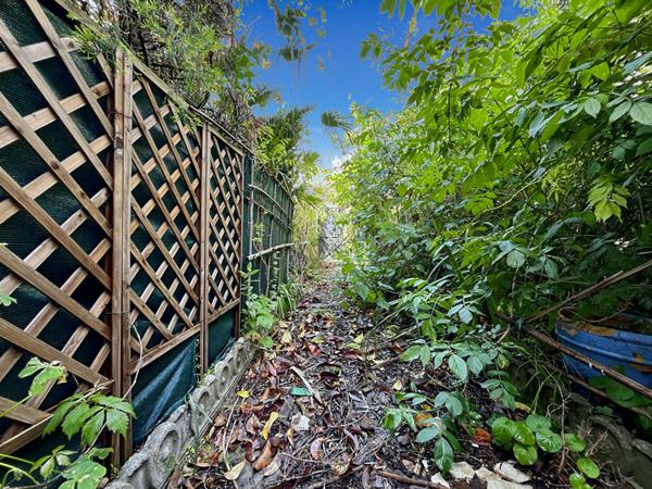 Immeuble centre Bessières - 12 pièce(s) 306 m2