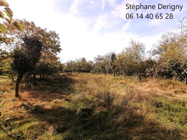 TRES RARE DANS UN CADRE EXCEPTIONNEL