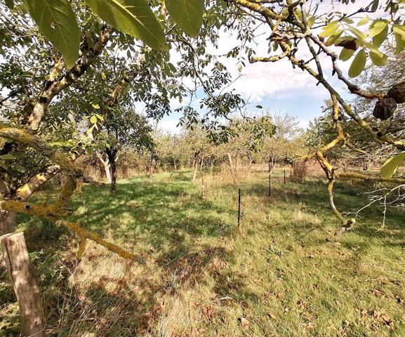 TRES RARE DANS UN CADRE EXCEPTIONNEL