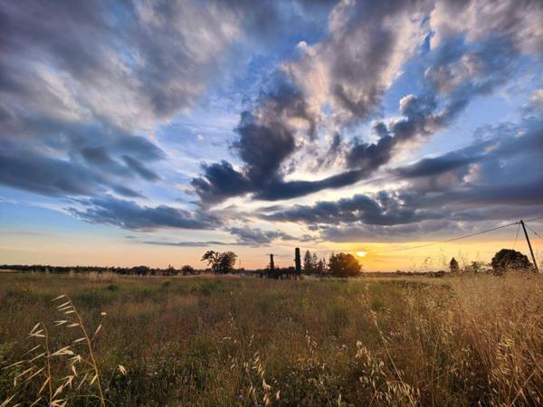 PUIMOISSON - TERRAIN CONSTRUCTIBLE - 996 M² - VIABILISÉ - PISCINABLE - 83 000