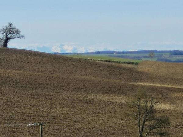 Terrain à vendre 37 000 € Maignaut-Tauzia 3000 m² DPE