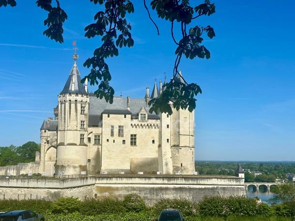 Propriete d'exception à vendre à SAUMUR (49400)  Panorama d'exception sur le château et la Loire - 328m² - 2278m²-piscine