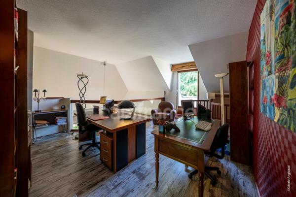 Propriete d'exception à vendre à SAUMUR (49400)  Panorama d'exception sur le château et la Loire - 328m² - 2278m²-piscine