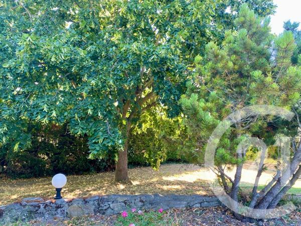 Maison à vendre  4 pièces - 191,12 m2 CARCASSONNE - 11